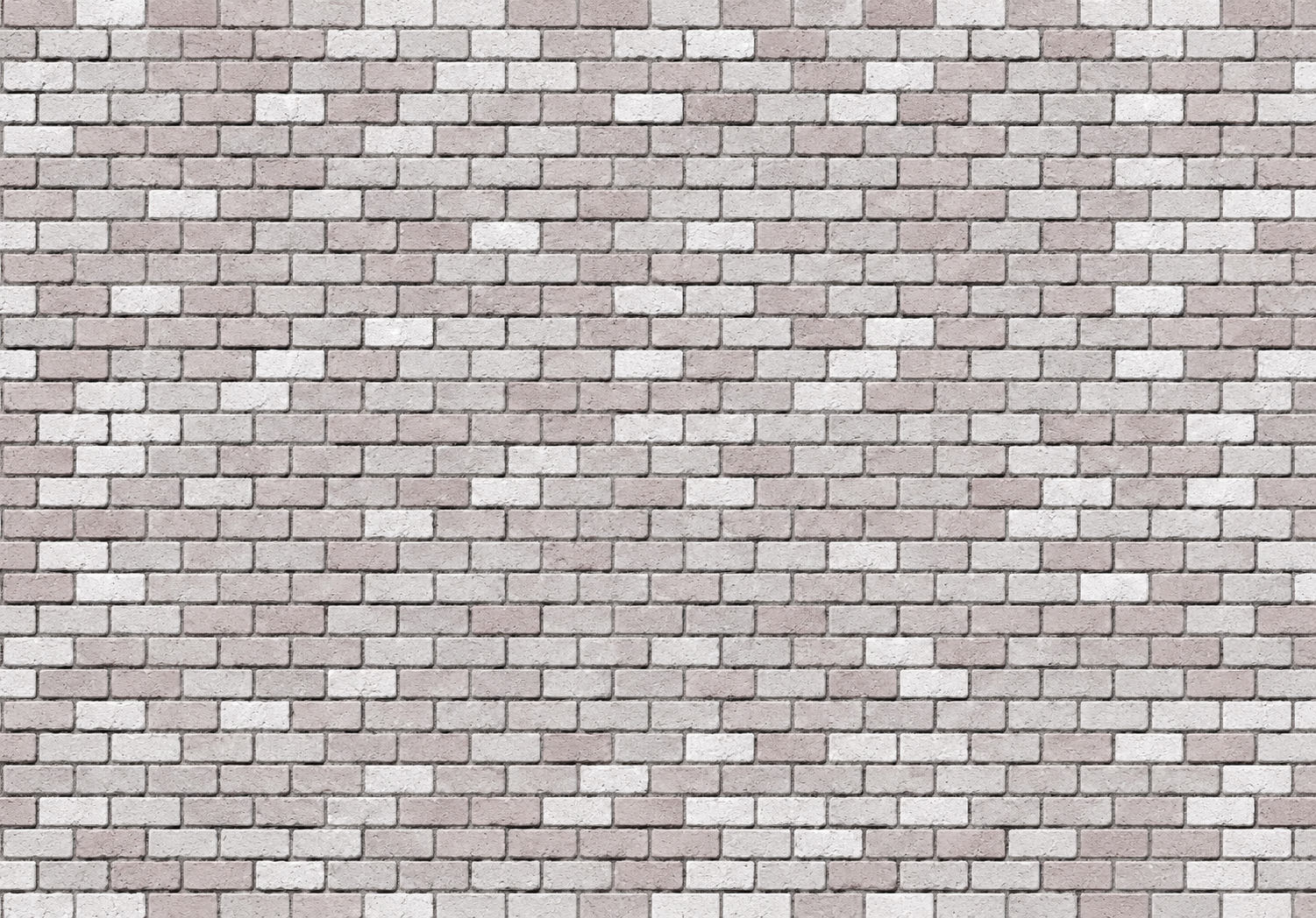 School Background